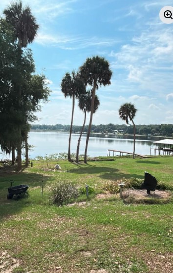 Florida lake view